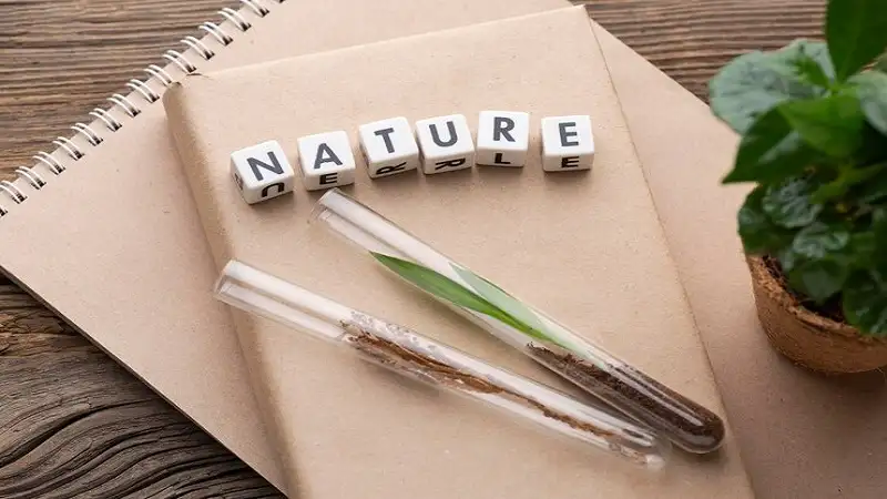 Naturaplug.com